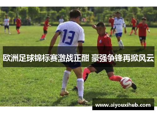 欧洲足球锦标赛激战正酣 豪强争锋再掀风云