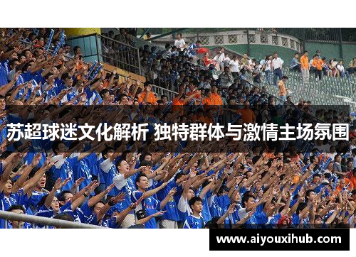 苏超球迷文化解析 独特群体与激情主场氛围